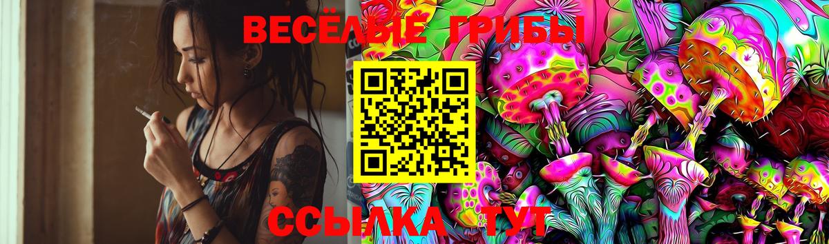 Галлюциногенные грибы GOLDEN TEACHER Донецк